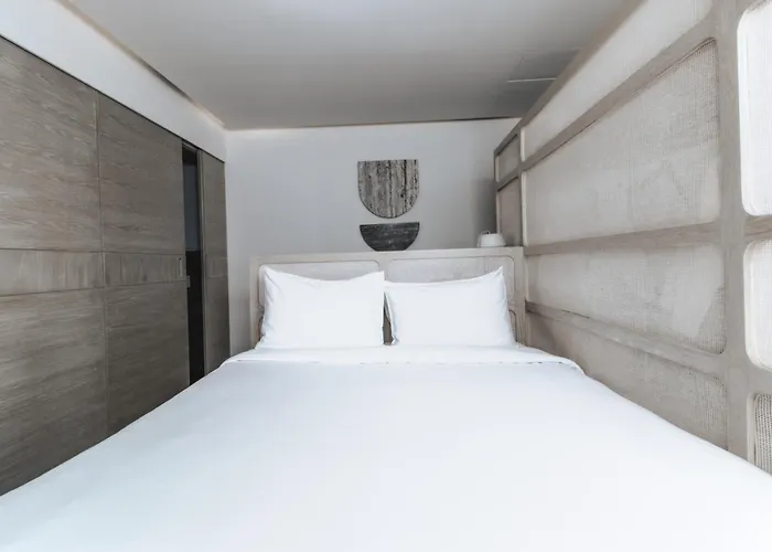 Ryo Boutique & Hotel México DF