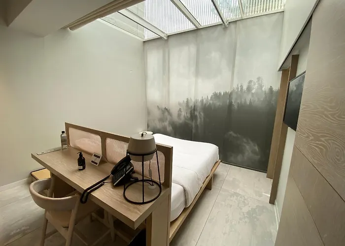 Hotel Ryo Boutique & 4*